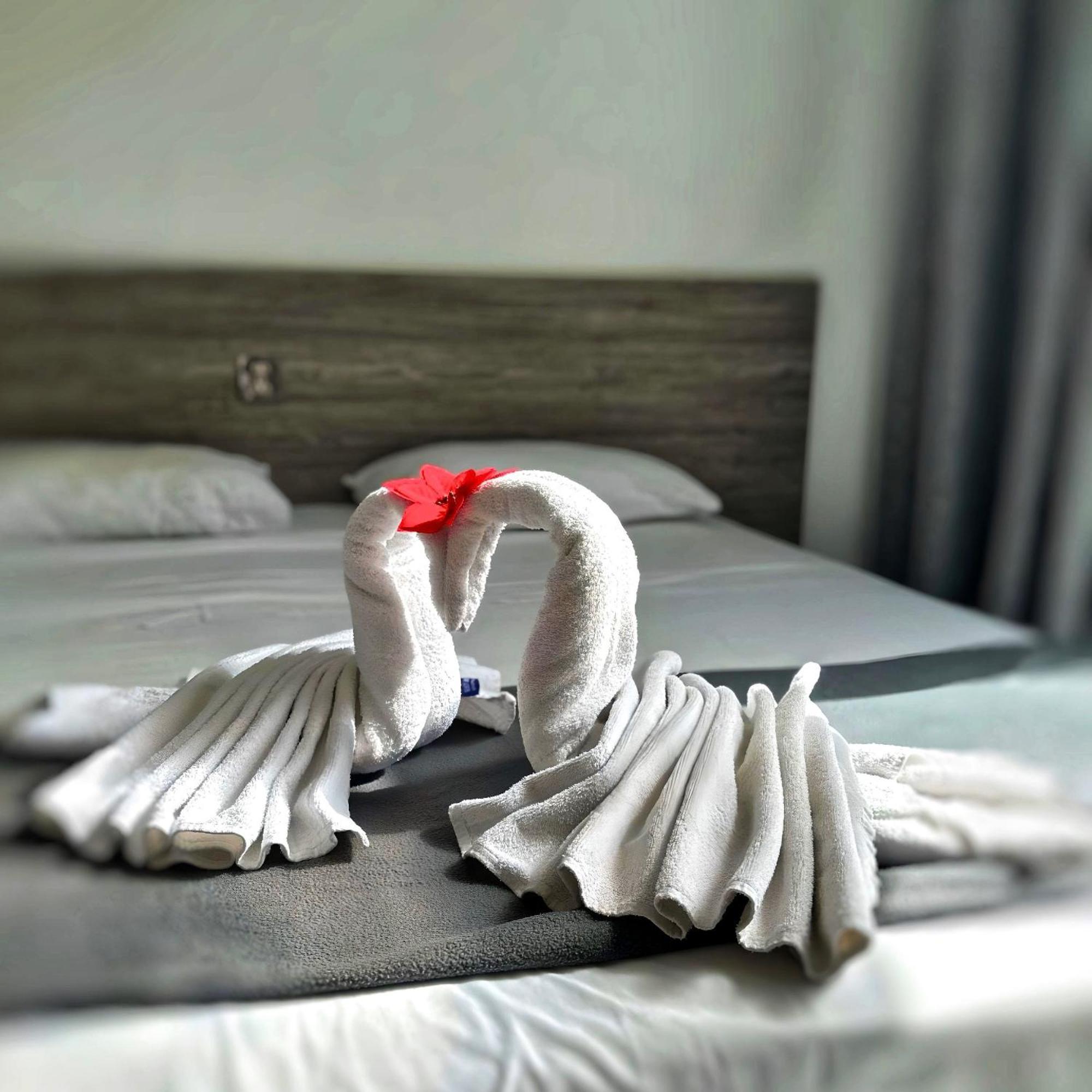 For Rest Aparthotel เซนต์พอลส์เบย์ ภายนอก รูปภาพ